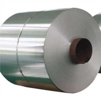 1.4404 Stainless Steel Coil-excellent Pitting Resistance